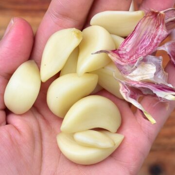 Peeled garlic cloves in a hand