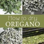 How to Dry Oregano (3 Methods)