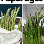 How to Store Asparagus Properly