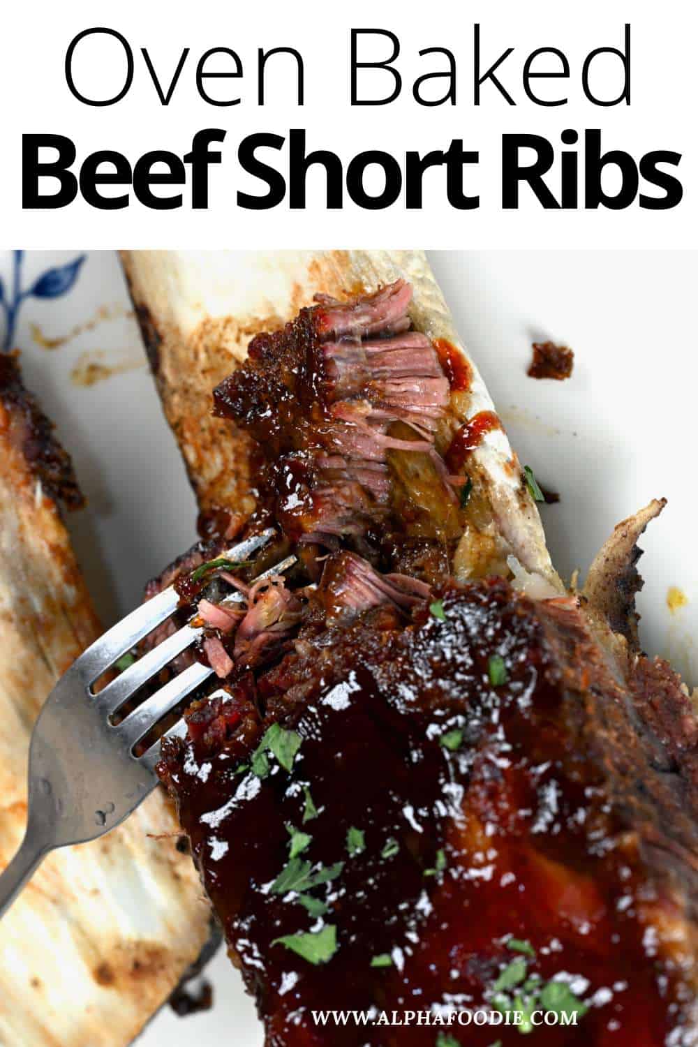 The Best Oven Baked Beef Short Ribs Alphafoodie the-best-oven-baked-beef-short-ribs-alphafoodie