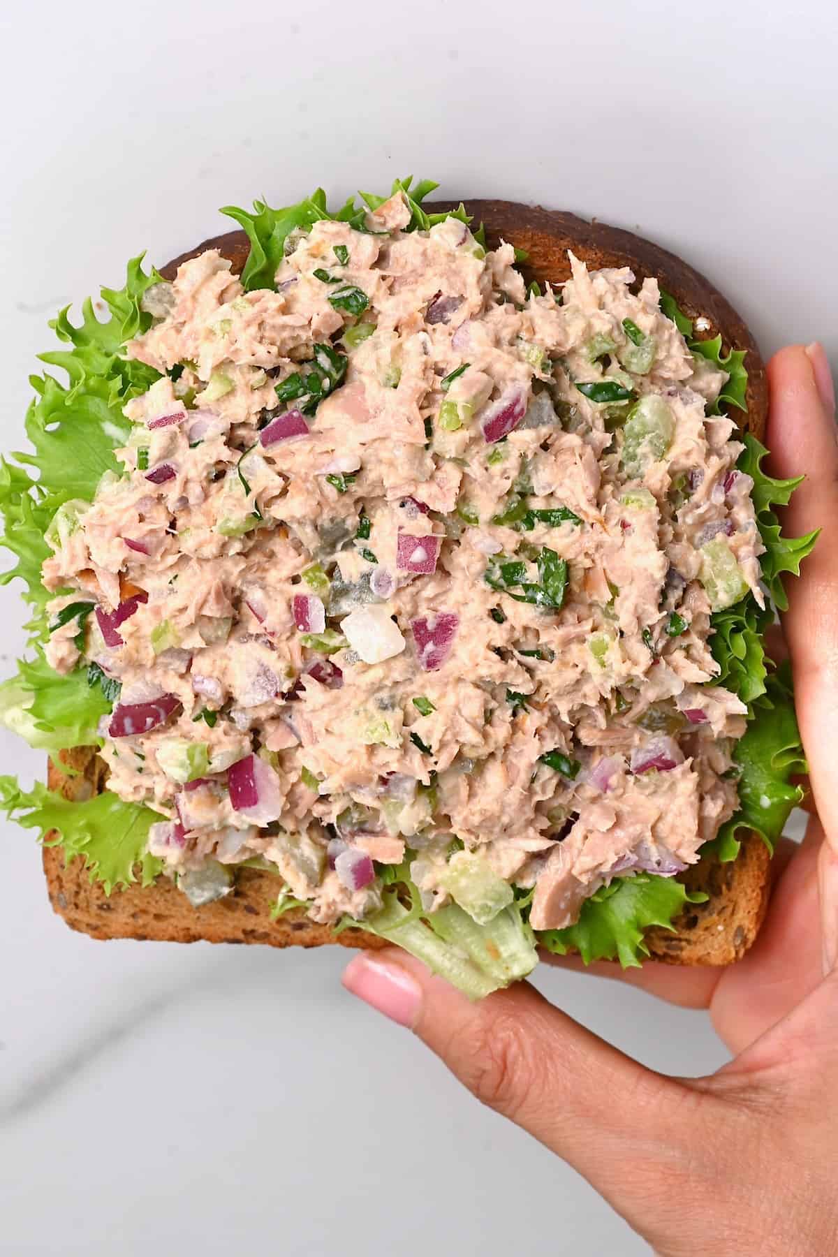 Tuna fish salad on a piece of bread