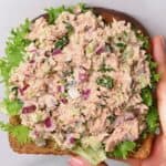 Tuna fish salad on a piece of bread - 20