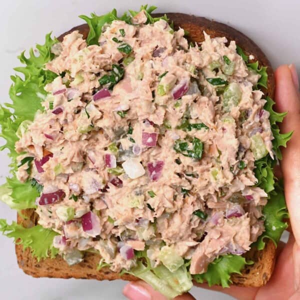 Tuna fish salad on a piece of bread