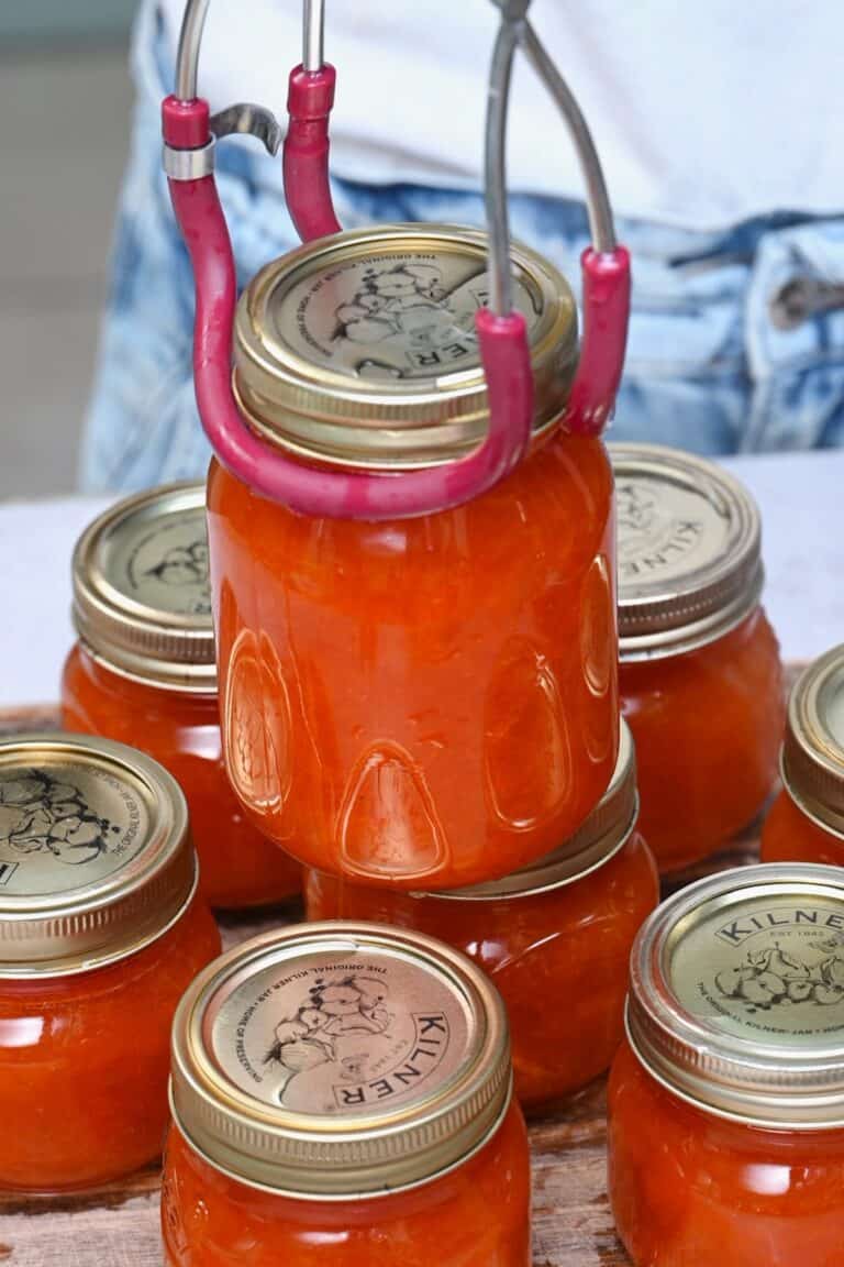 Easy Apricot Jam Recipe (No Pectin Required) Alphafoodie