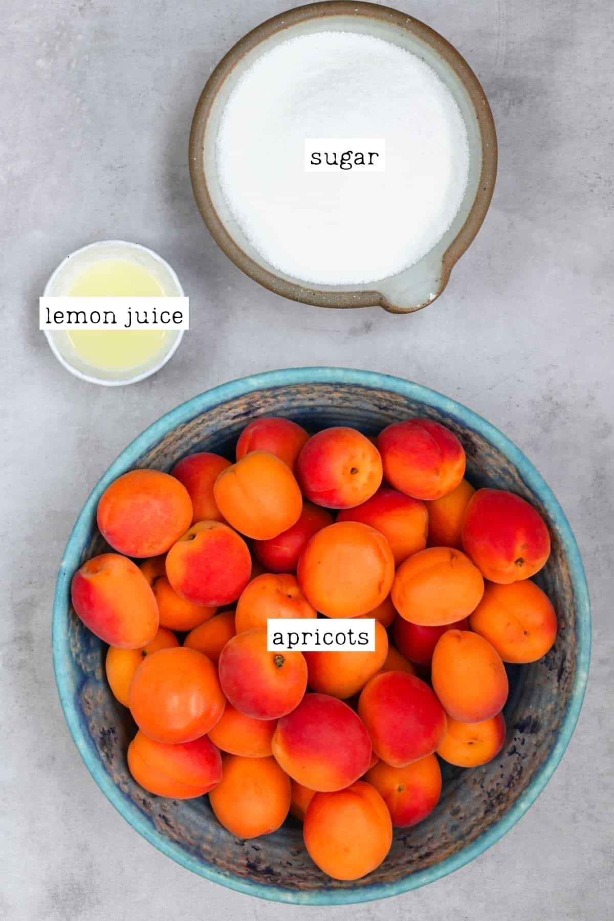 Ingredients for apricot jam