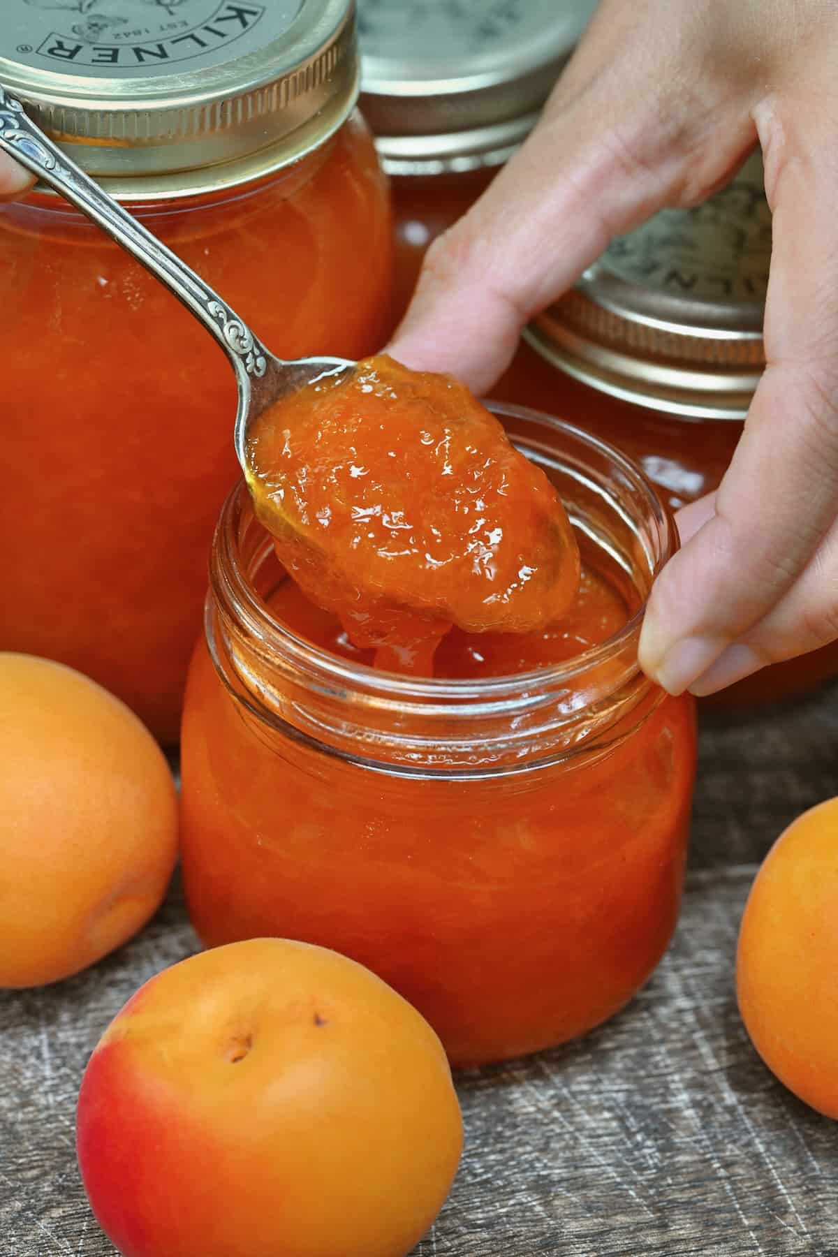 A spoonful of homemade apricot jam
