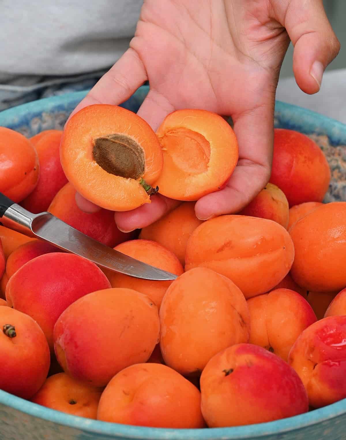 Pitting apricots