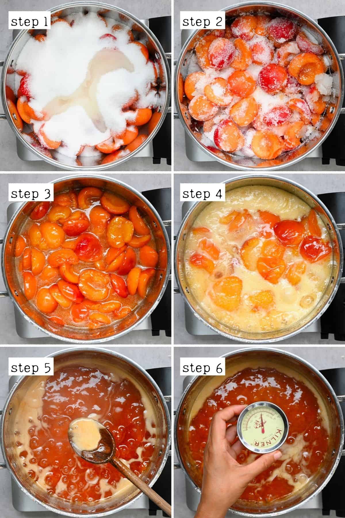 Steps for cooking apricot jam
