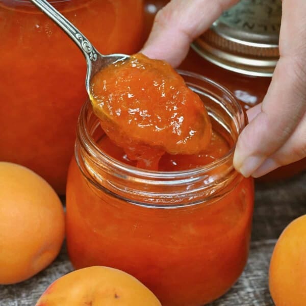 A spoonful of homemade apricot jam
