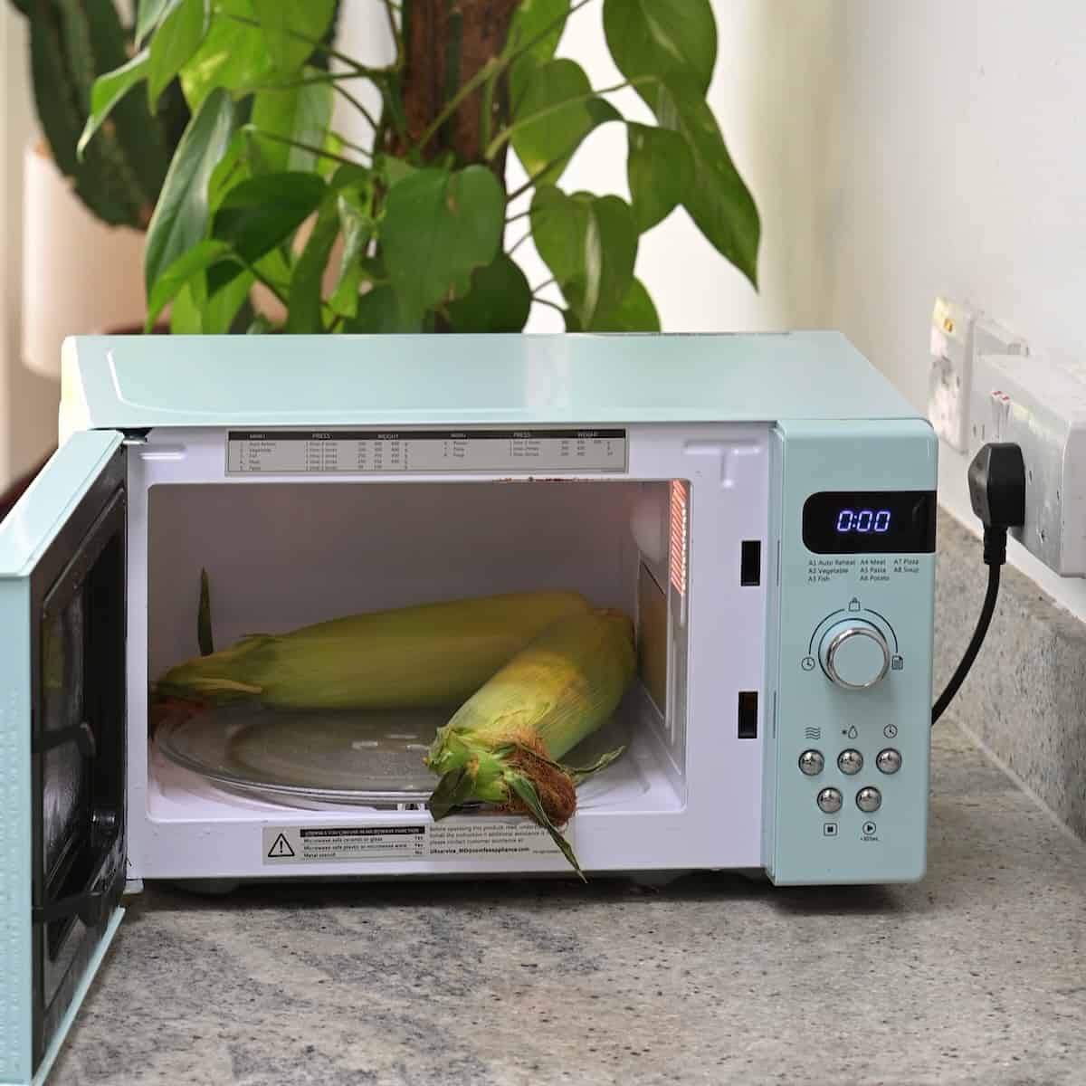 Two corns on the cob in husk in a microwave