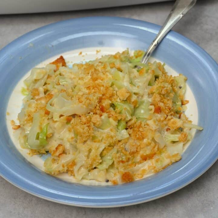 Cabbage Casserole Recipe Alphafoodie