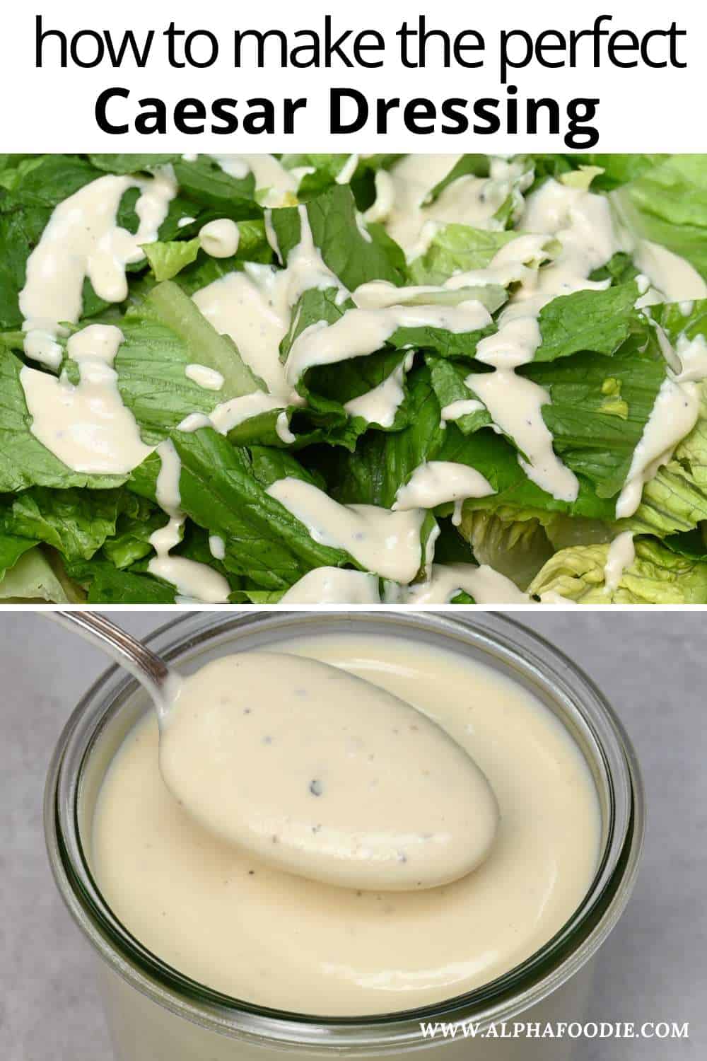 The Best Homemade Caesar Dressing Recipe Alphafoodie