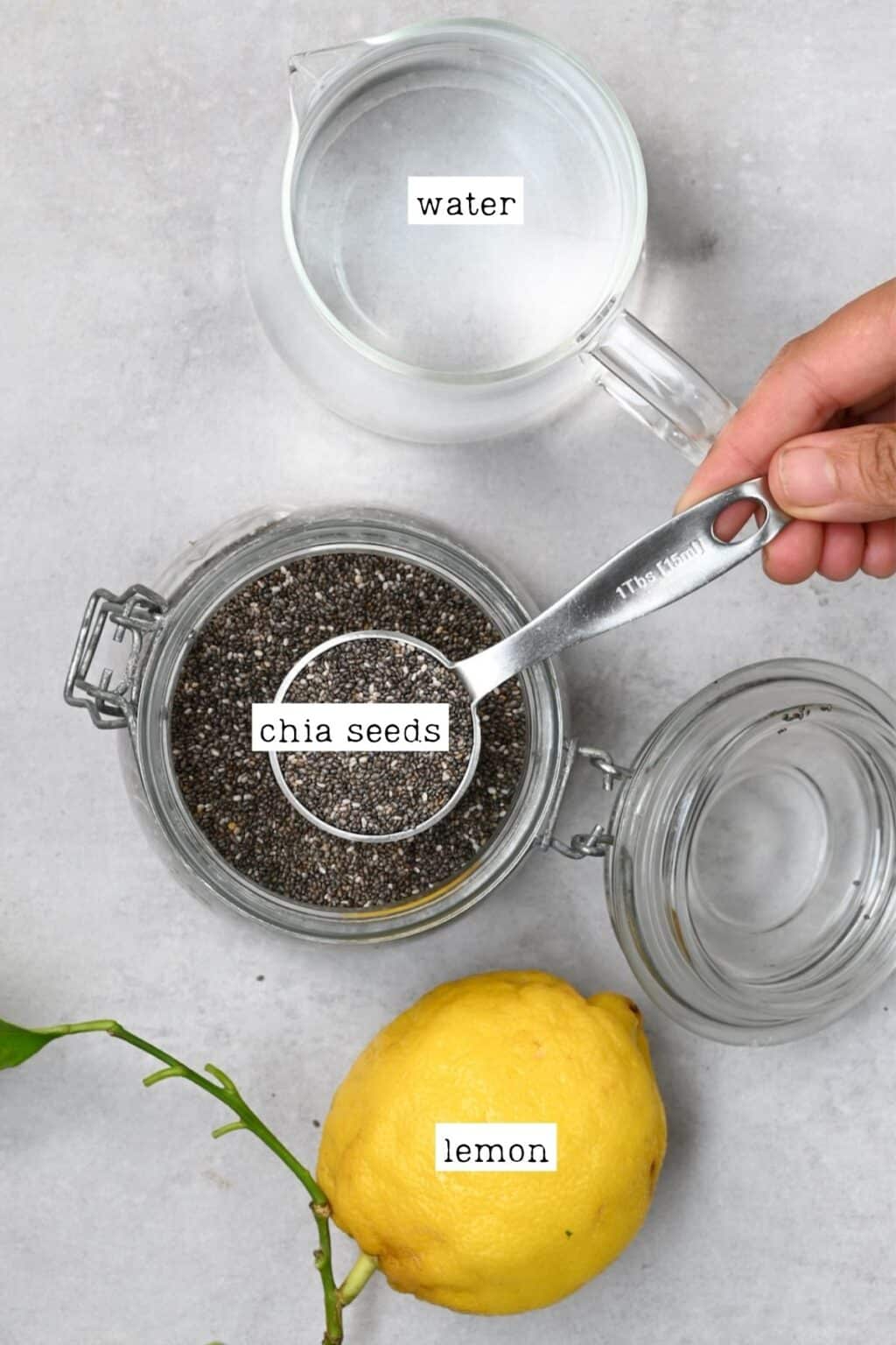 Lemon Chia Seed Water