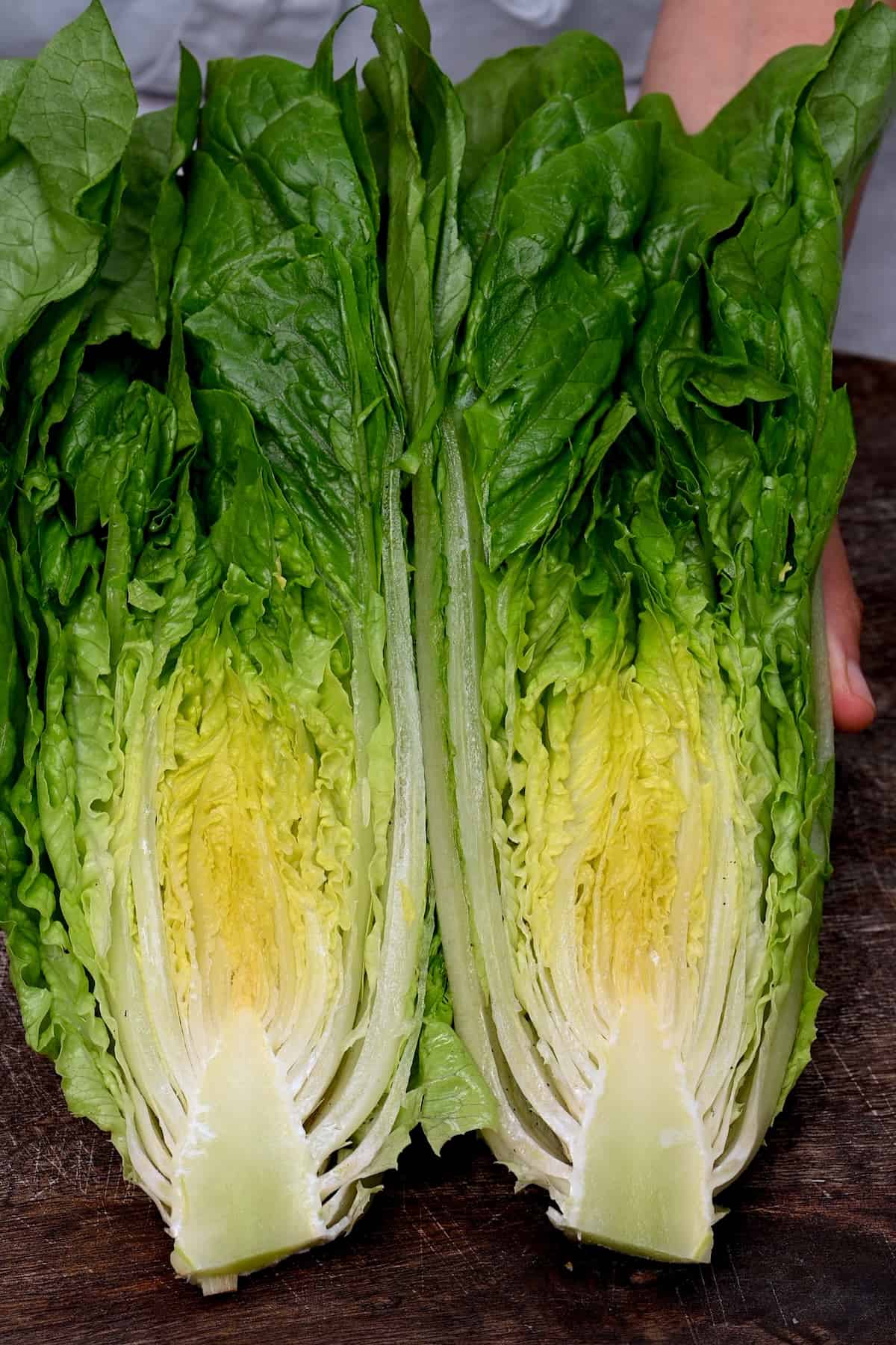 A head of Romaine lettuce cut in two