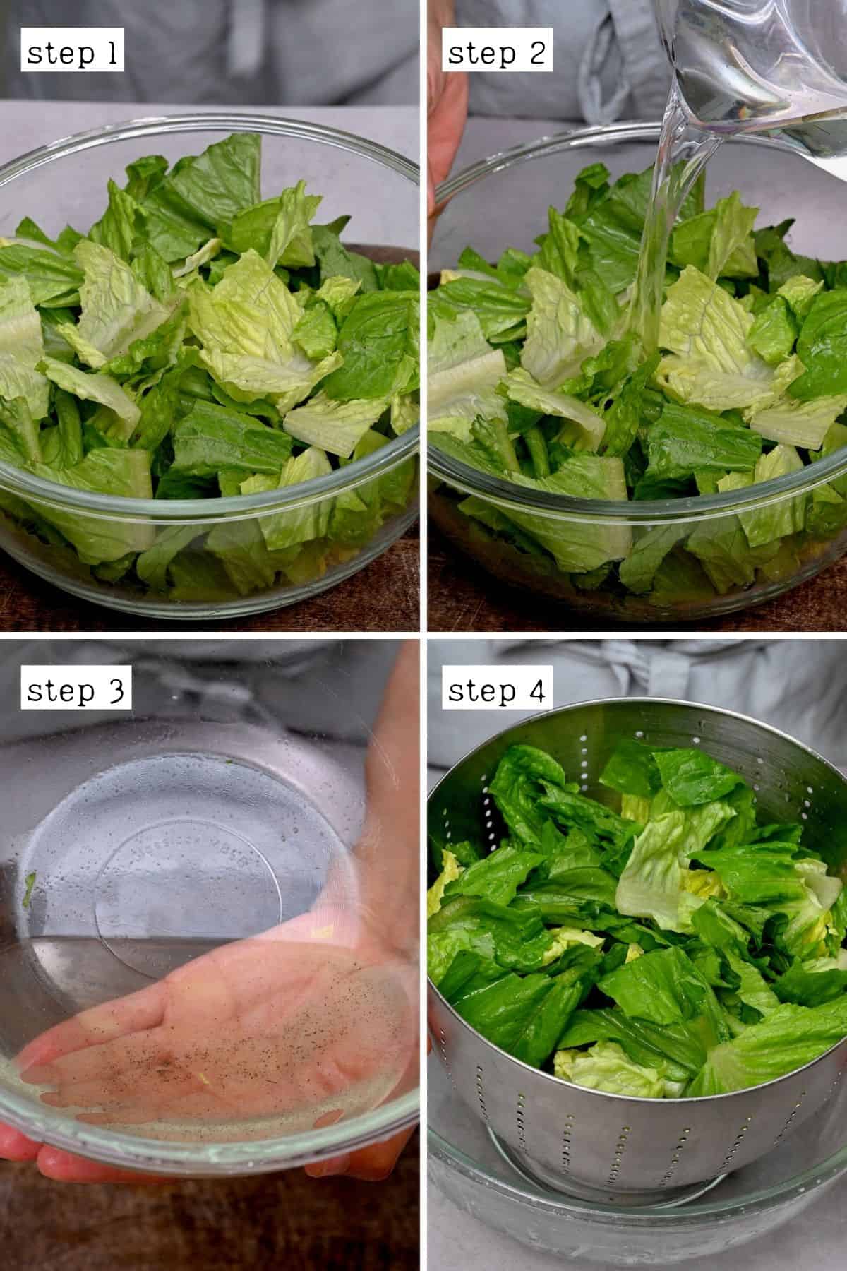 Steps for cleaning chopped lettuce