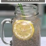 Lemon Chia Seed Water
