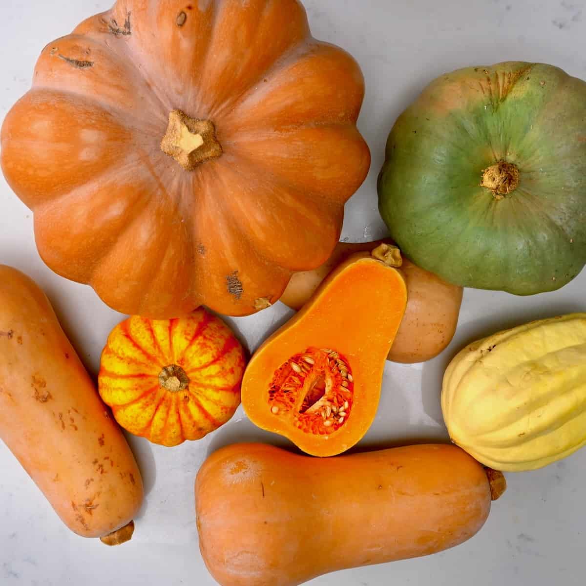 Different pumpkins and squash that are in season in October