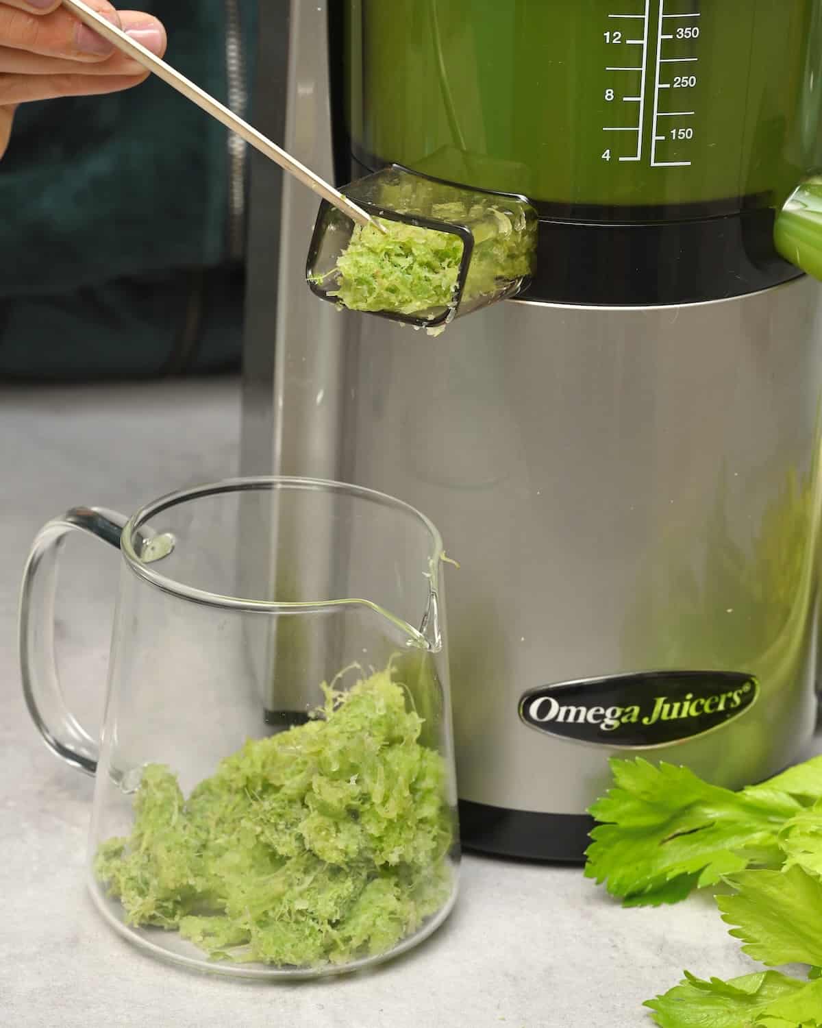 Celery fiber being removed from a juicer