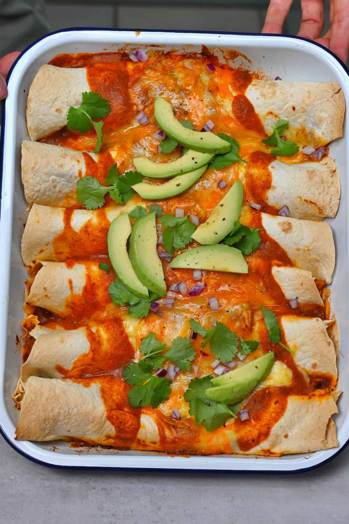 Freshly baked chicken enchilada topped with cilantro and avocado