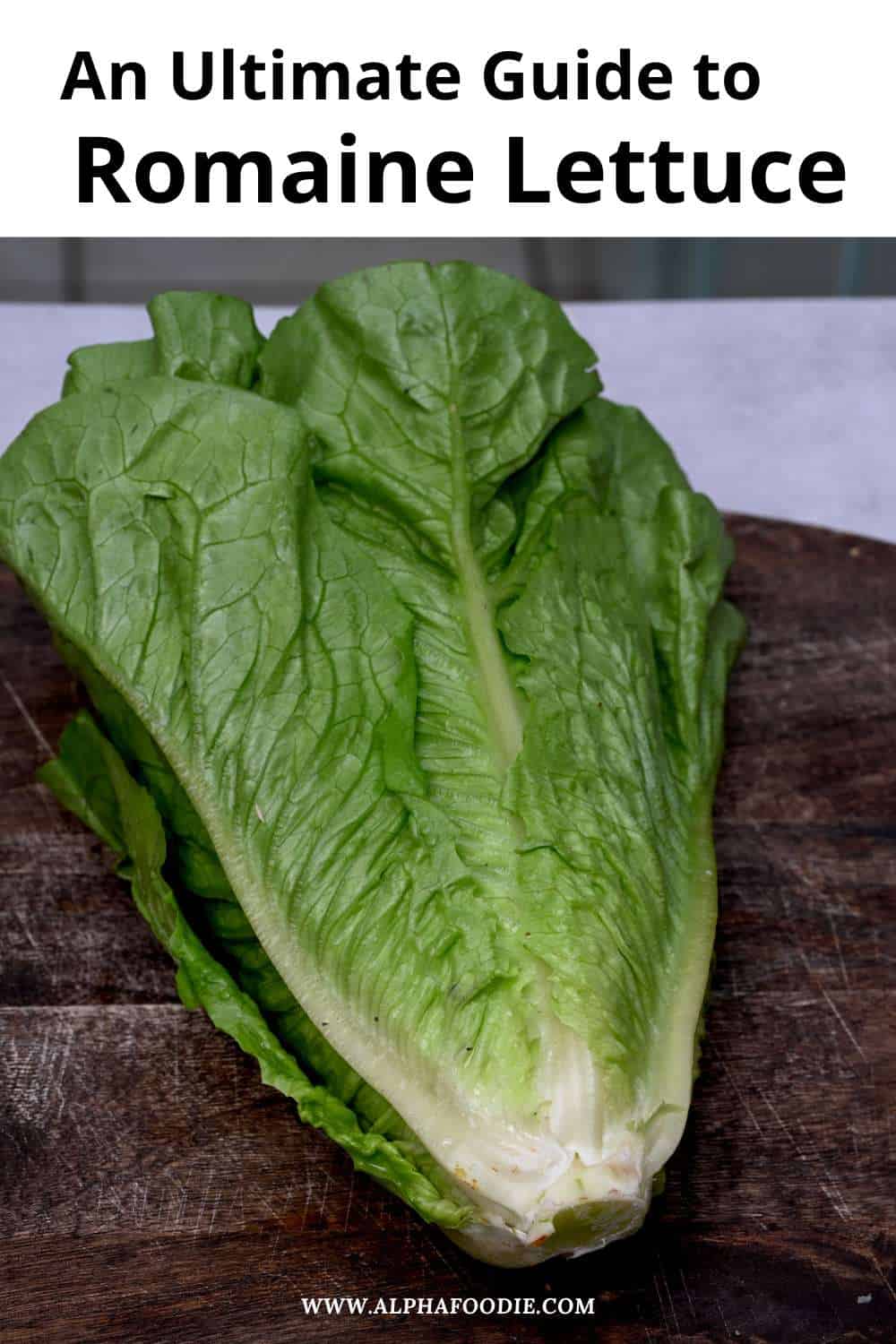 A Guide to Romaine Lettuce and What to Do with It Alphafoodie