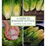 A Guide to Romaine Lettuce and What to Do with It