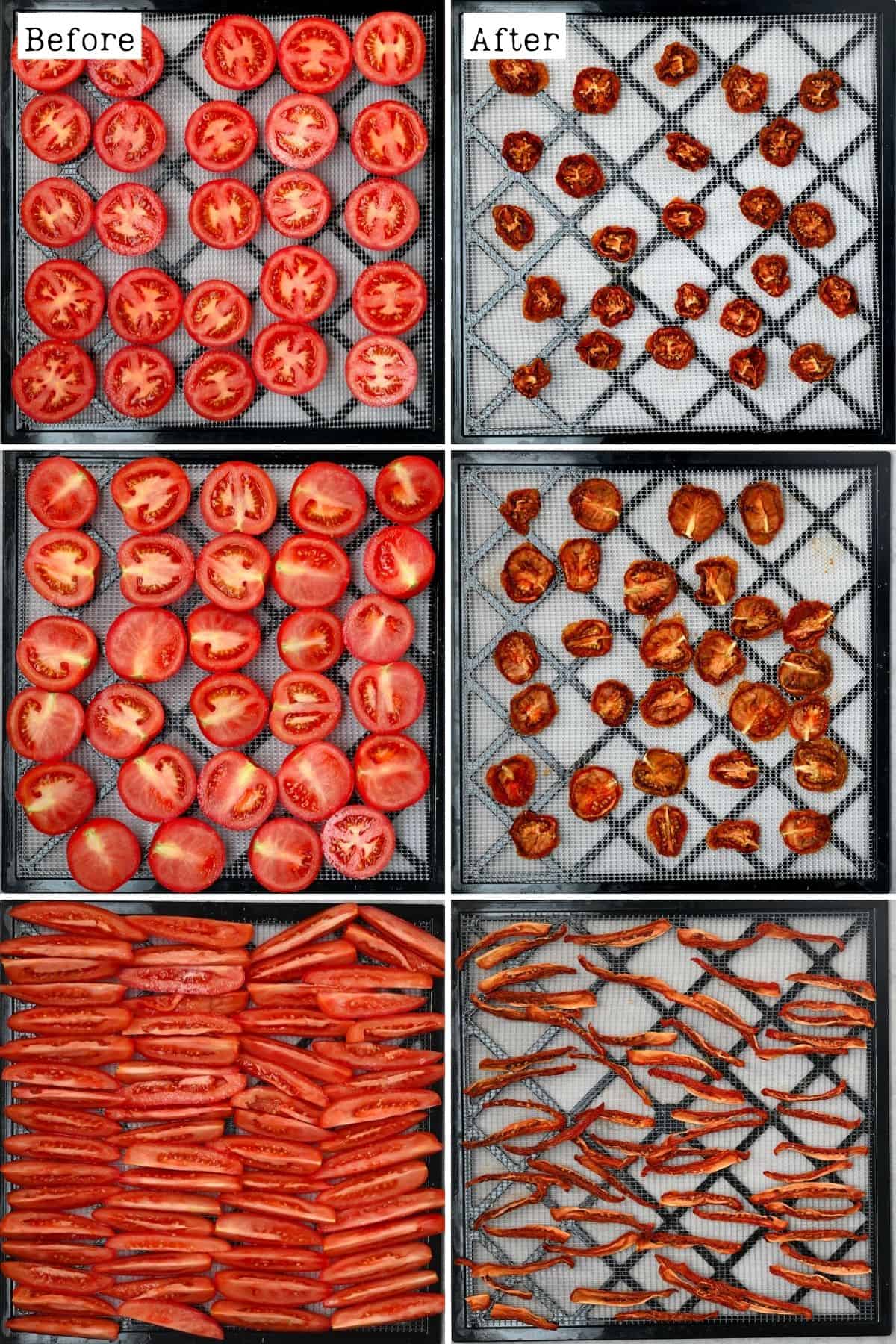 Before and after dehydrating tomato slices
