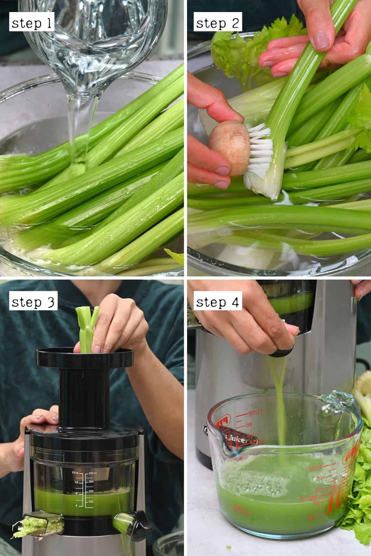 Steps for cleaning and juicing celery