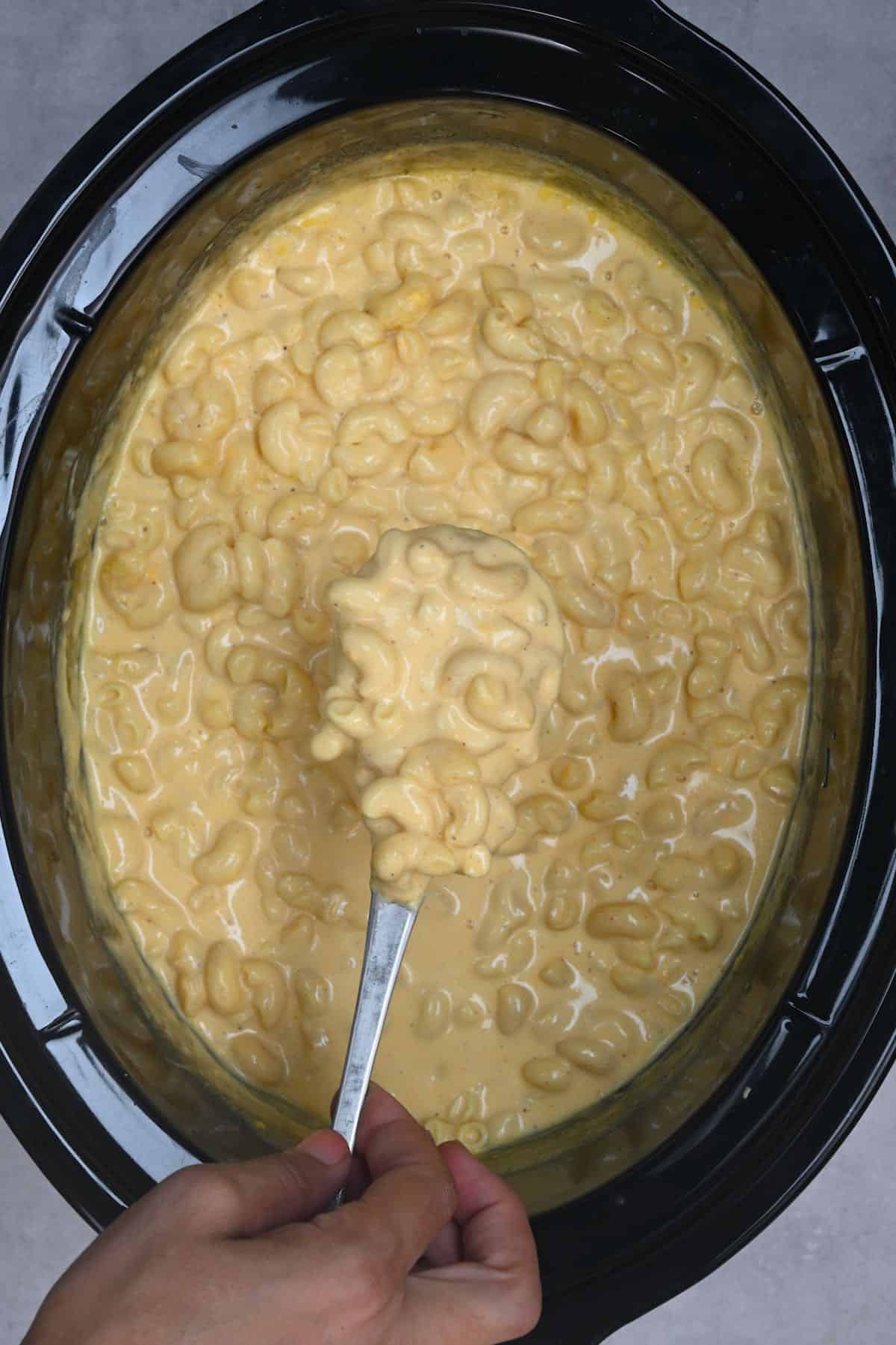 mac and cheese in a crock pot