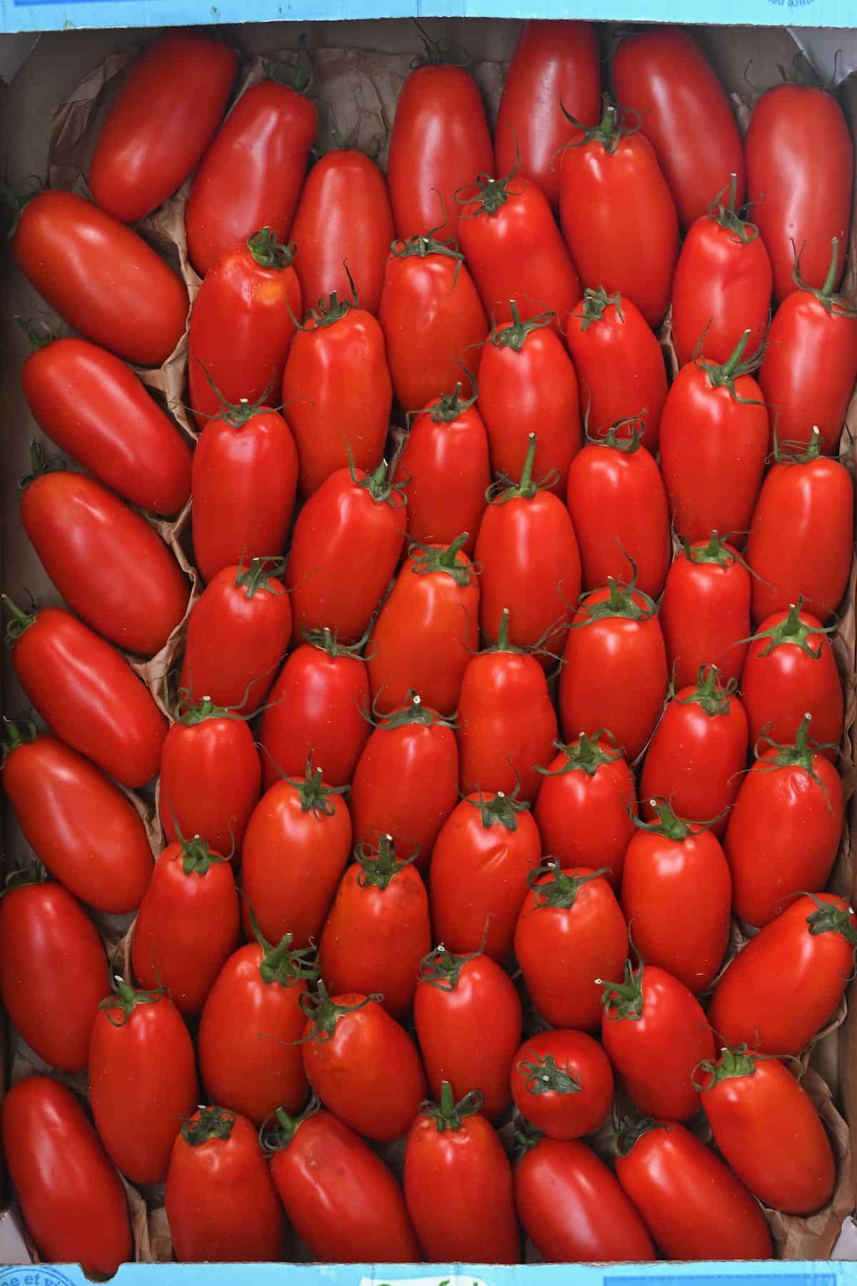 San Marzano tomatoes in a box