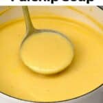 parsnip soup 2