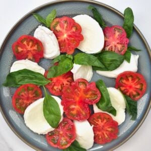 A plate of caprese salad