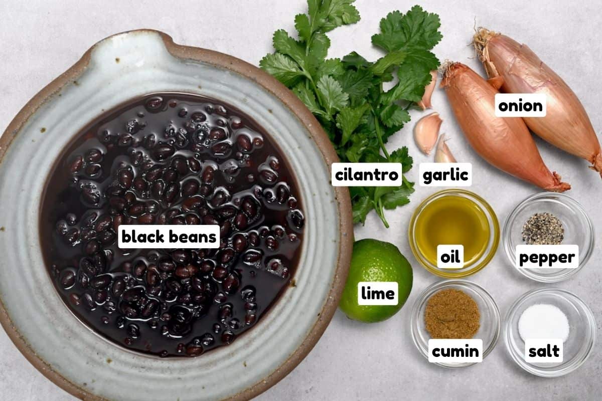 Ingredients for Mexican black beans