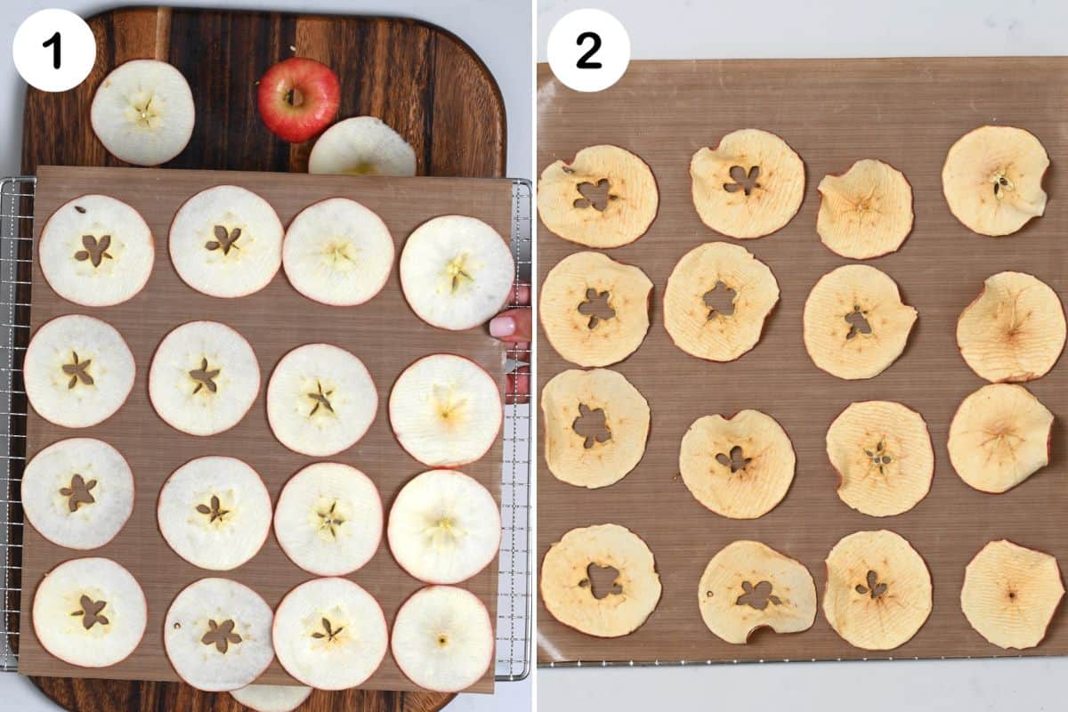 How to Dehydrate Apples  3 Methods  - 23