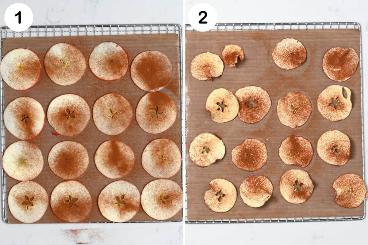 How to Dehydrate Apples  3 Methods  - 77