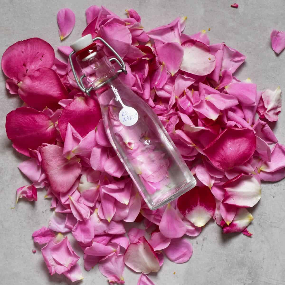 How to Make Rose Water - 5