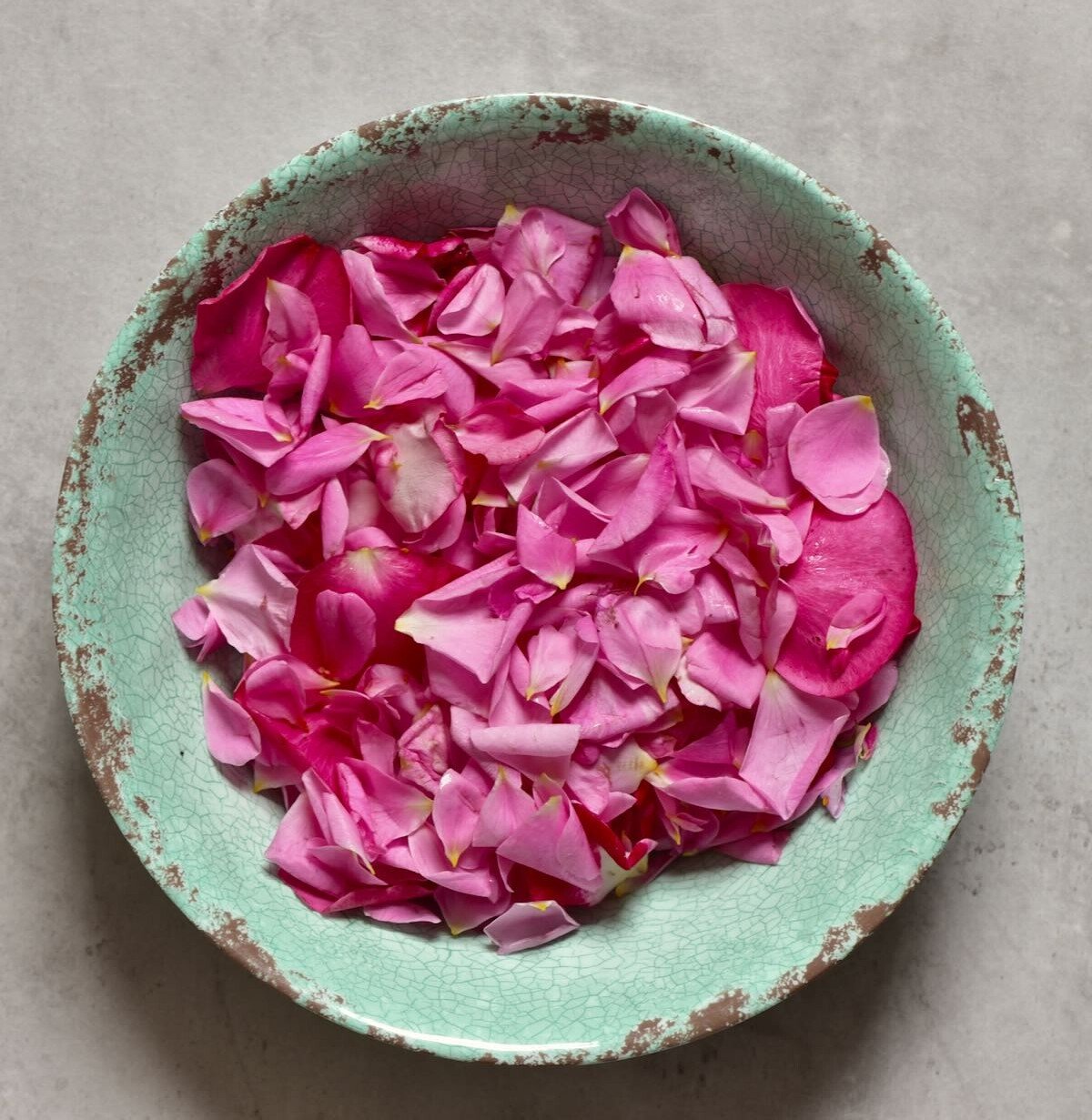 How to Make Rose Water - 23