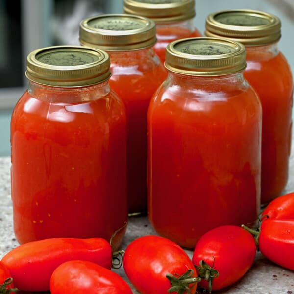 Homemade canned tomato juice in large jars