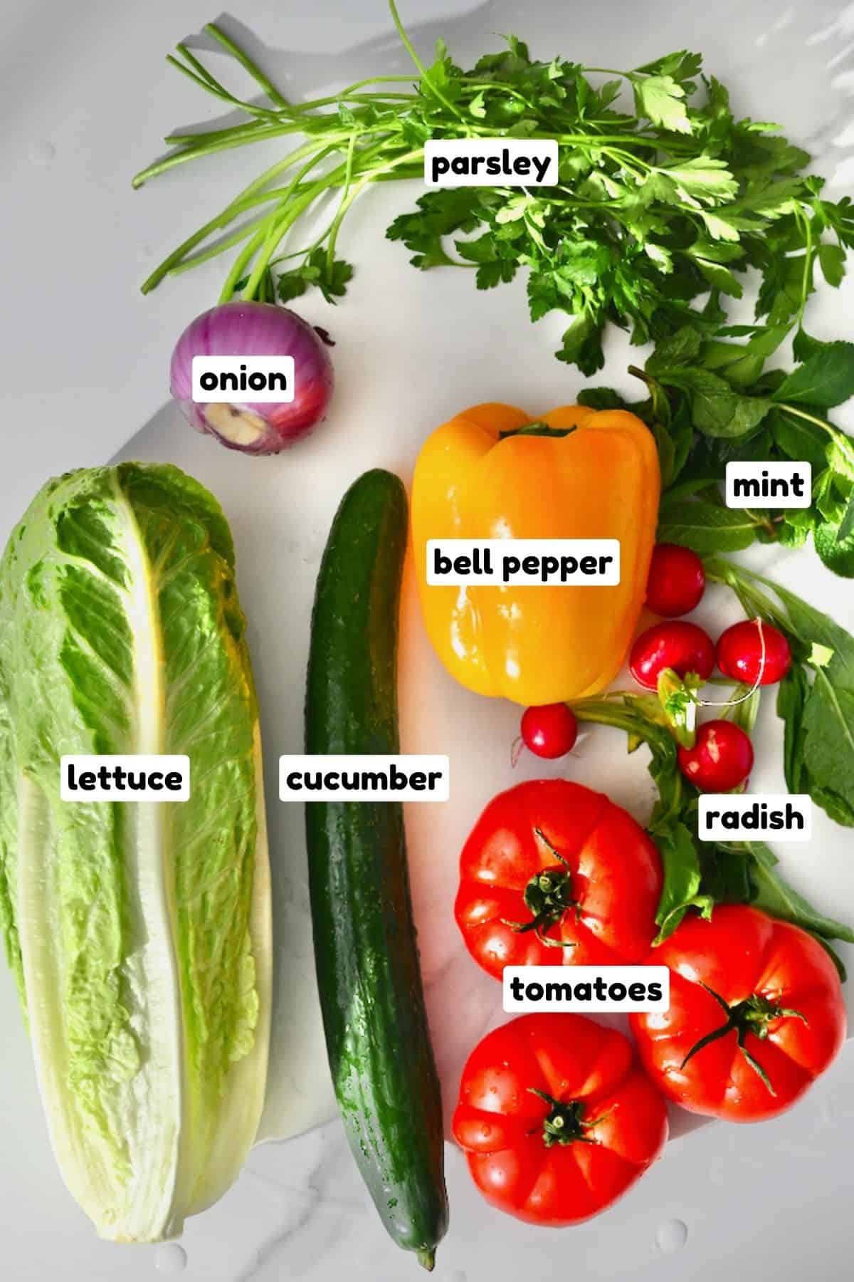 Ingredients for Lebanese Fattoush Salad