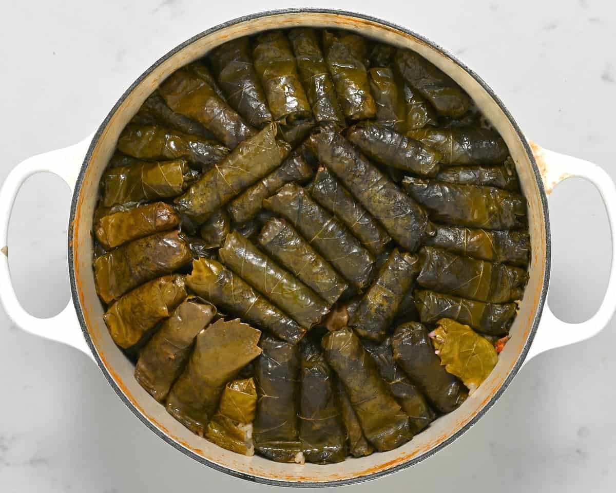 Stuffed grape leaves in a saucepan