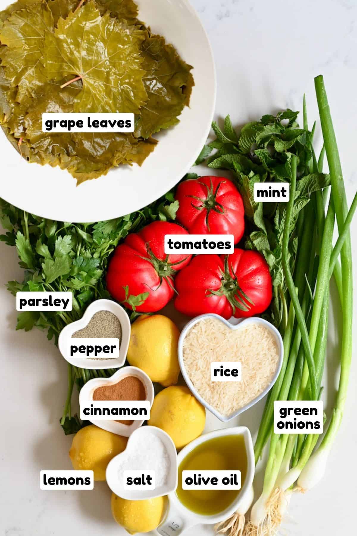 Ingredients for dolmas