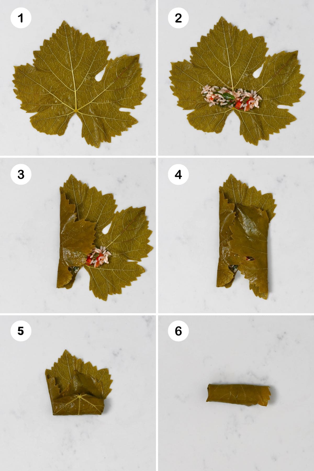 Steps for stuffing and rolling dolmas