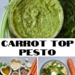 Carrot Top Pesto Recipe