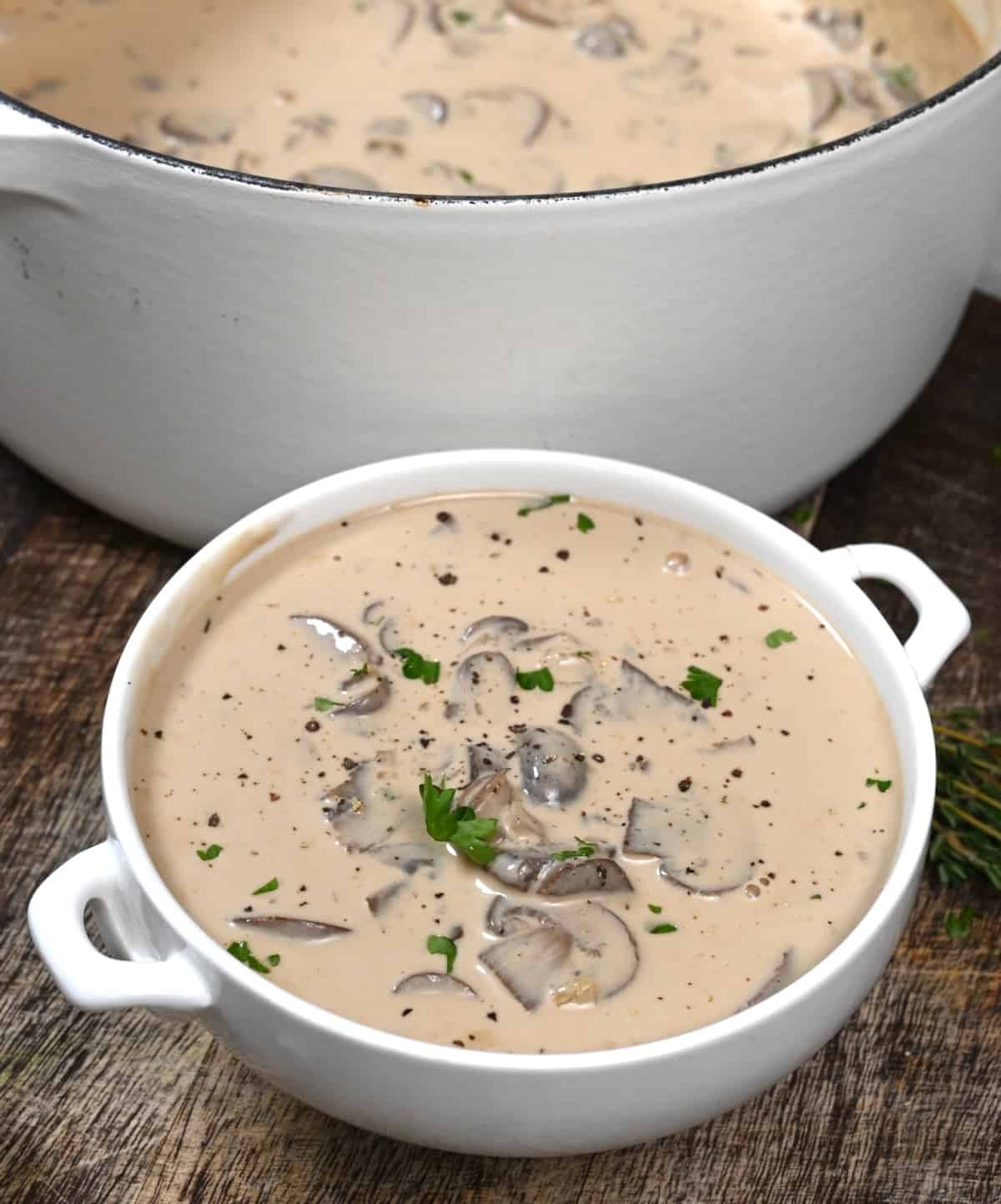 A serving of mushroom soup topped with parsley
