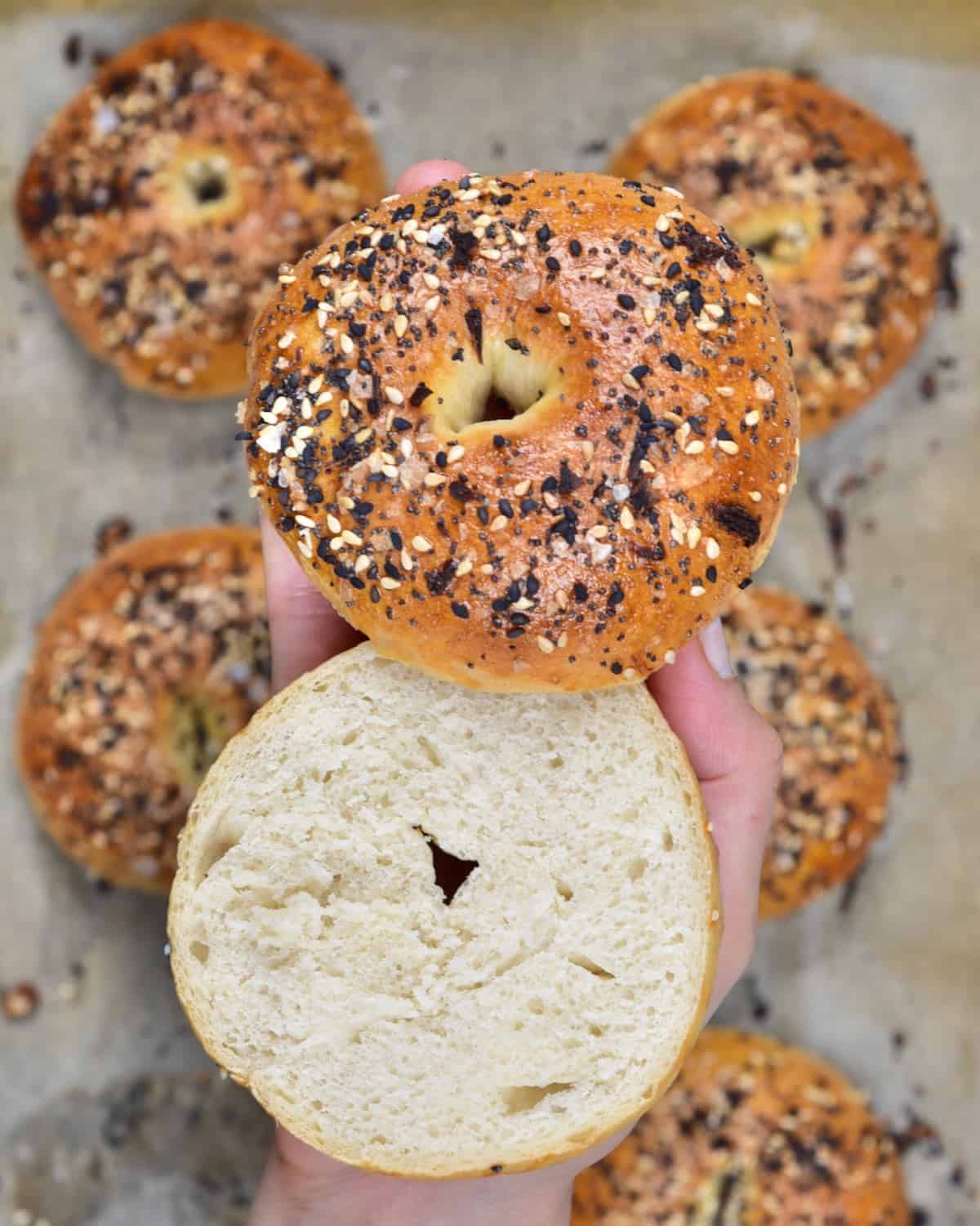 Homemade bagel cut into two halves