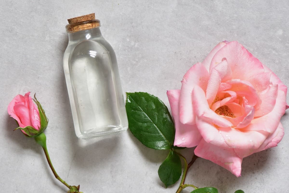 A small bottle with homemade rosewater and two roses next to it