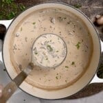A ladleful of homemade mushroom soup over a large pot - 21
