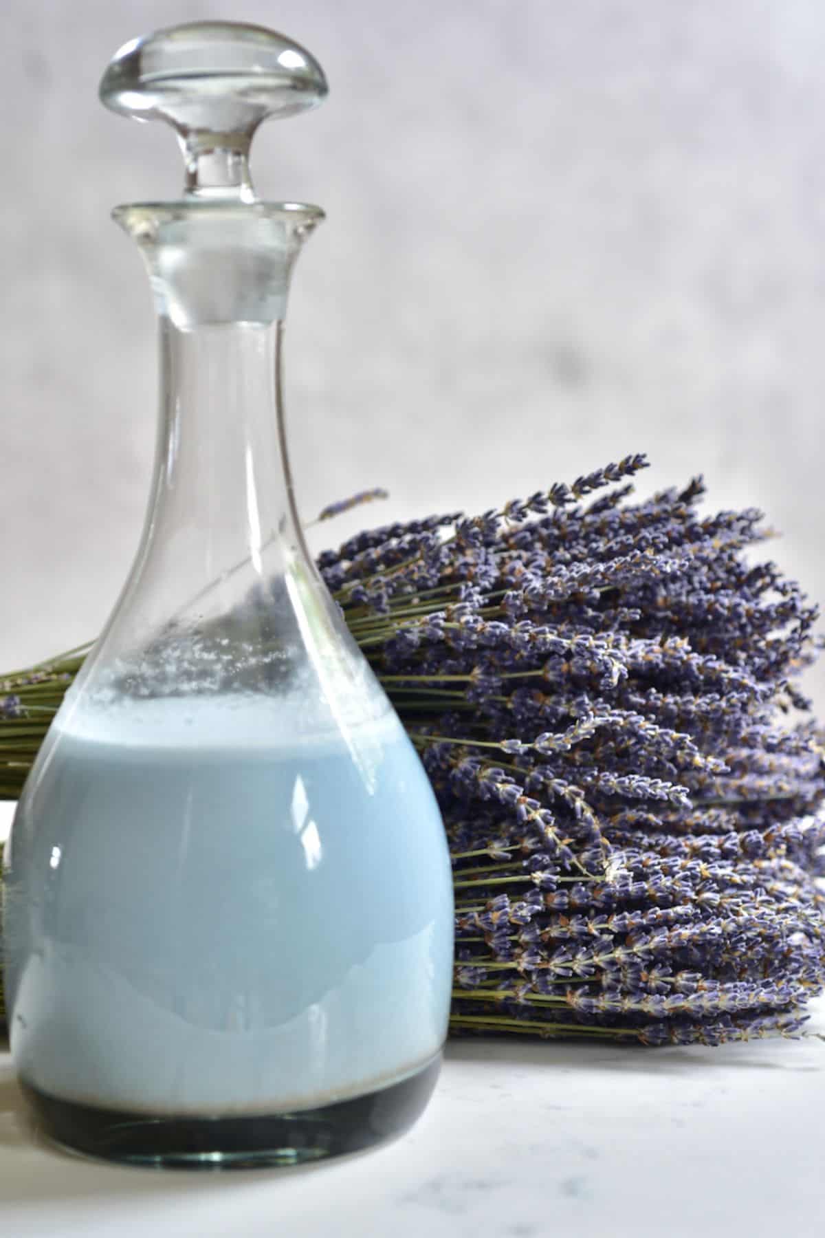 A bottle with Blue Milk from Star Wars with lavender behind it