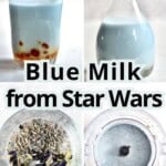 Blue Milk from Star Wars (1)