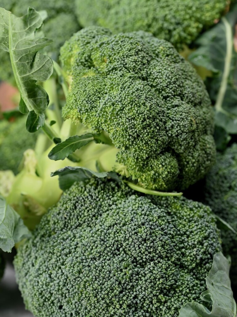 How to Cook Broccoli in 6 Easy Ways - Alphafoodie