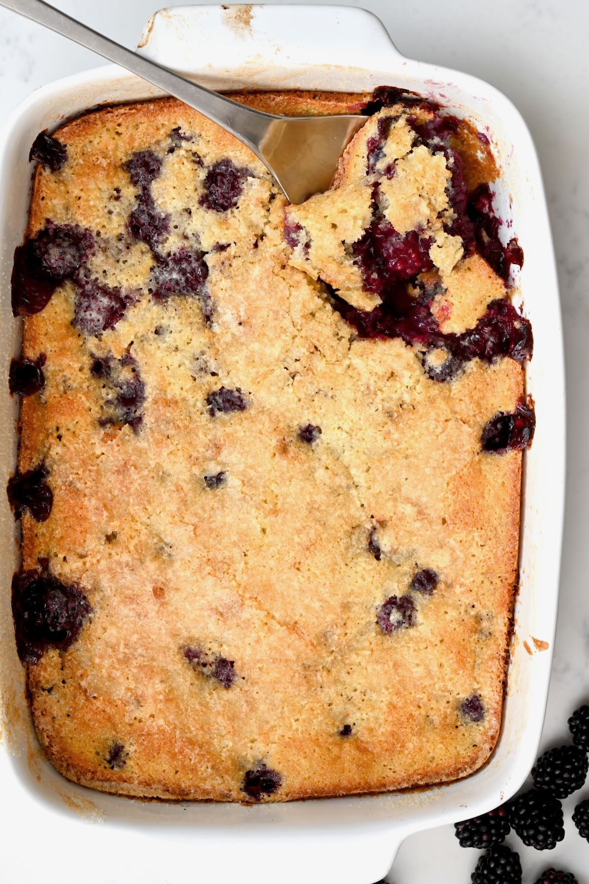 Baked blackberry cobbler with golden topping in a white baking dish.